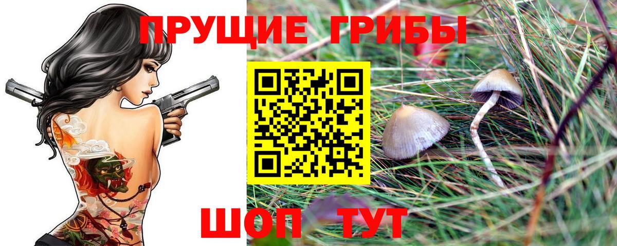 закладка  Вход с VPN  Добрянка  Псилоцибиновые грибы MAGIC MUSHROOMS 